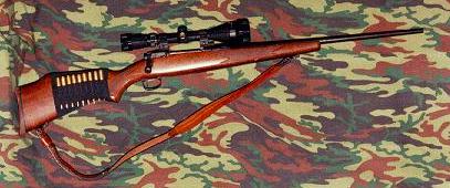 270 landry's guns.jpg (21941 bytes)